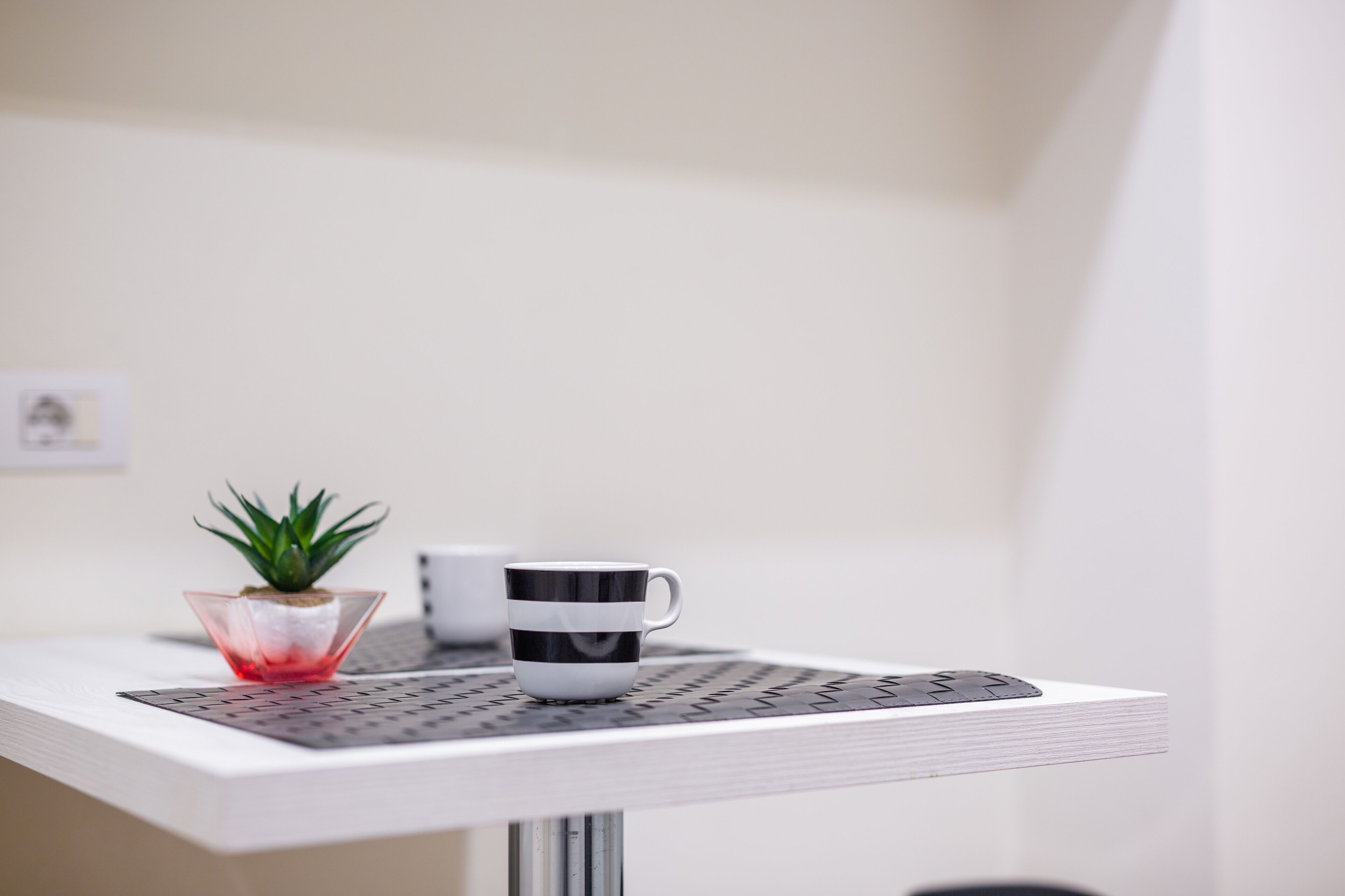 A small table with a potted plant and two mugs on a white surface.