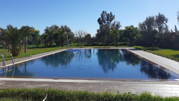 Una piscina rectangular con superficie de agua azul cristalina, rodeada por un pavimento y una zona verde con árboles.