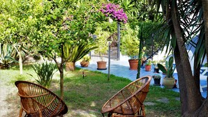 Zwei Korbstühle in einem Garten mit Topfpflanzen und einer Palme.