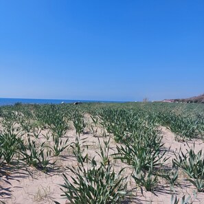 Beach nearby, sun-loungers
