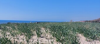 An oasis of peace  with garden close to the sea and parking free