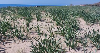 An oasis of peace with garden close to the sea and parking free