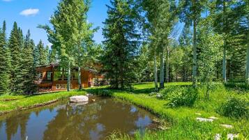 Terrain de l’hébergement