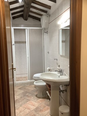 Shower, hair dryer, bidet, towels