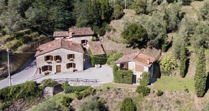 GĂźte rural Colleccio