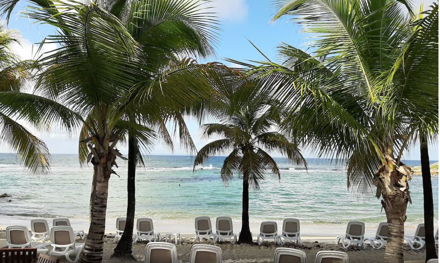 A beach with palm trees and white lounge chairs facing the ocean.