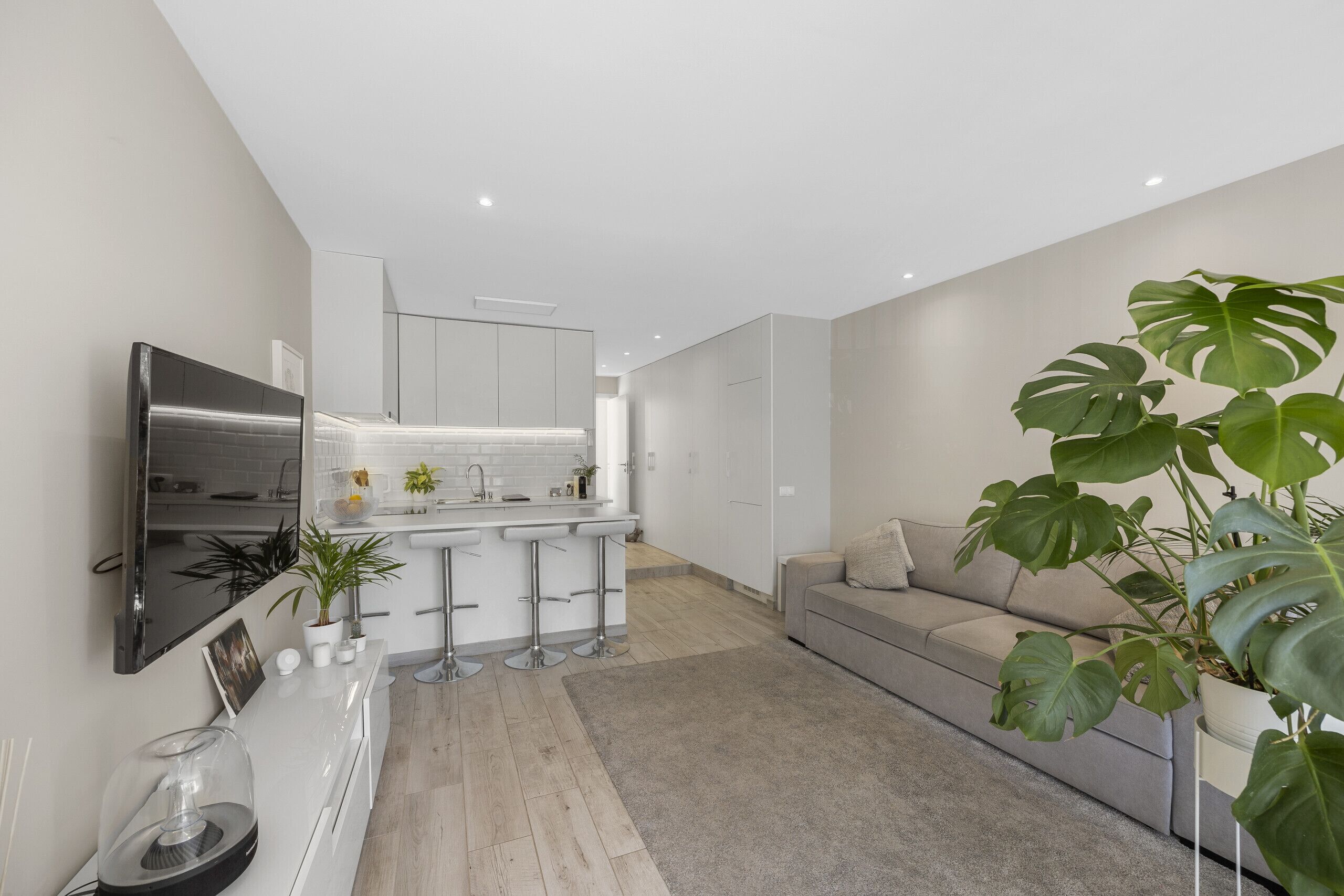 A modern kitchen with a bar area, a grey sofa, and large green plants.