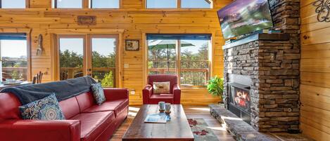 TV, fireplace, DVD player, video library