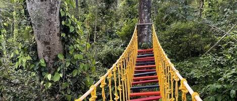 Ropes course (team building)