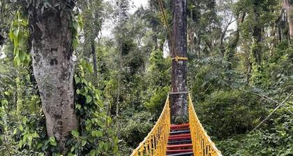 Suggi Nature Resort Coorg