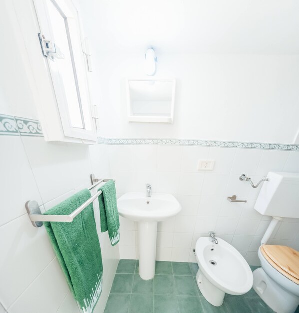 Shower, hair dryer, bidet, towels