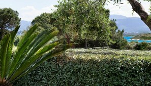 Áreas de la propiedad