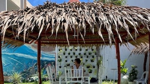 A covered outdoor seating area with a thatched roof, white chairs, and a wall decorated with potted plants. - House with private pool and extensive garden (Lapu-Lapu City,)