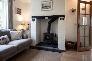 TV, fireplace, DVD player, books