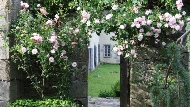 Un arco de piedra con rosas rosadas, que conduce a un edificio con una puerta y una ventana visibles.