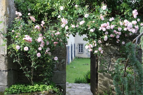 Terraza o patio. Château de Montautre