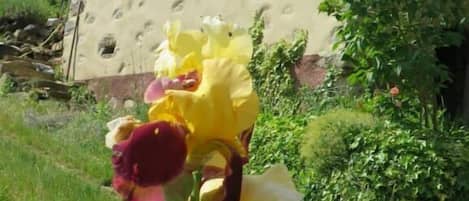 Details aan de buitenkant