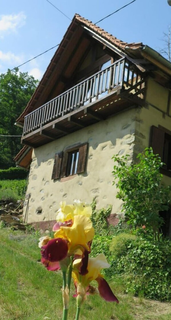 Detalle exterior