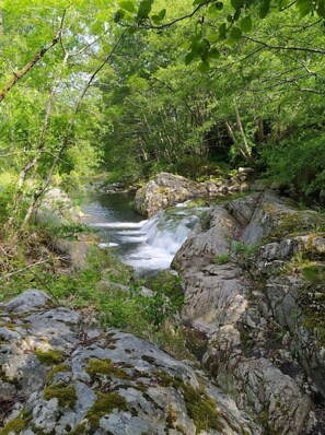 Overnattingsstedets uteområder