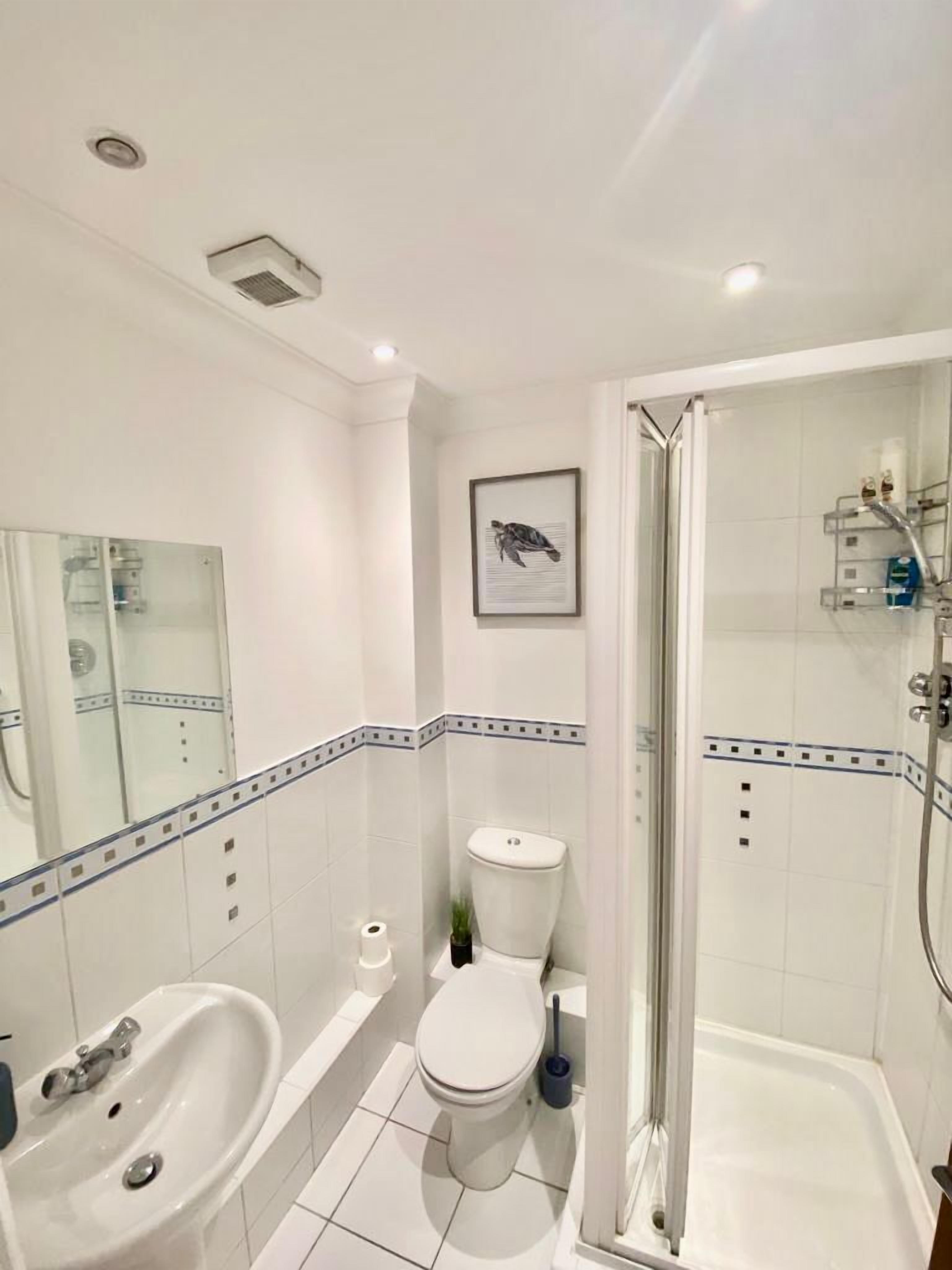 Hair dryer, towels