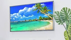 Ein Wohnzimmer mit Flachbildfernseher an der Wand, der eine Strandansicht zeigt, einem grauen Sofa und einer kleinen, weißen Statue auf einem schwarzen Konsolentisch.