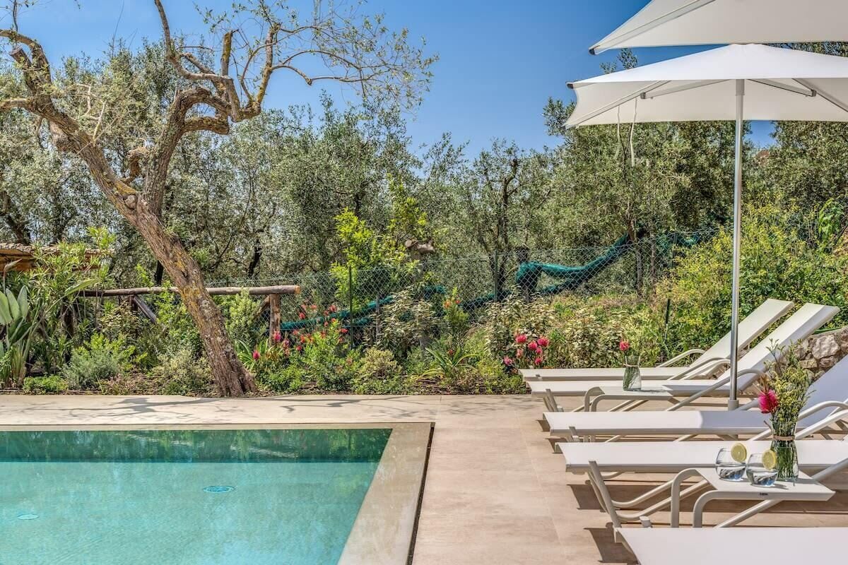 A poolside area with lounge chairs, a pool, and a tree.