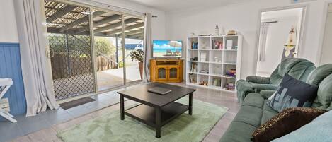 TV, fireplace, books