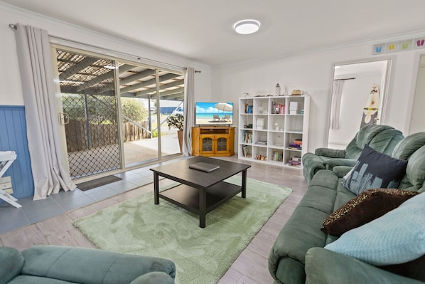 TV, fireplace, books