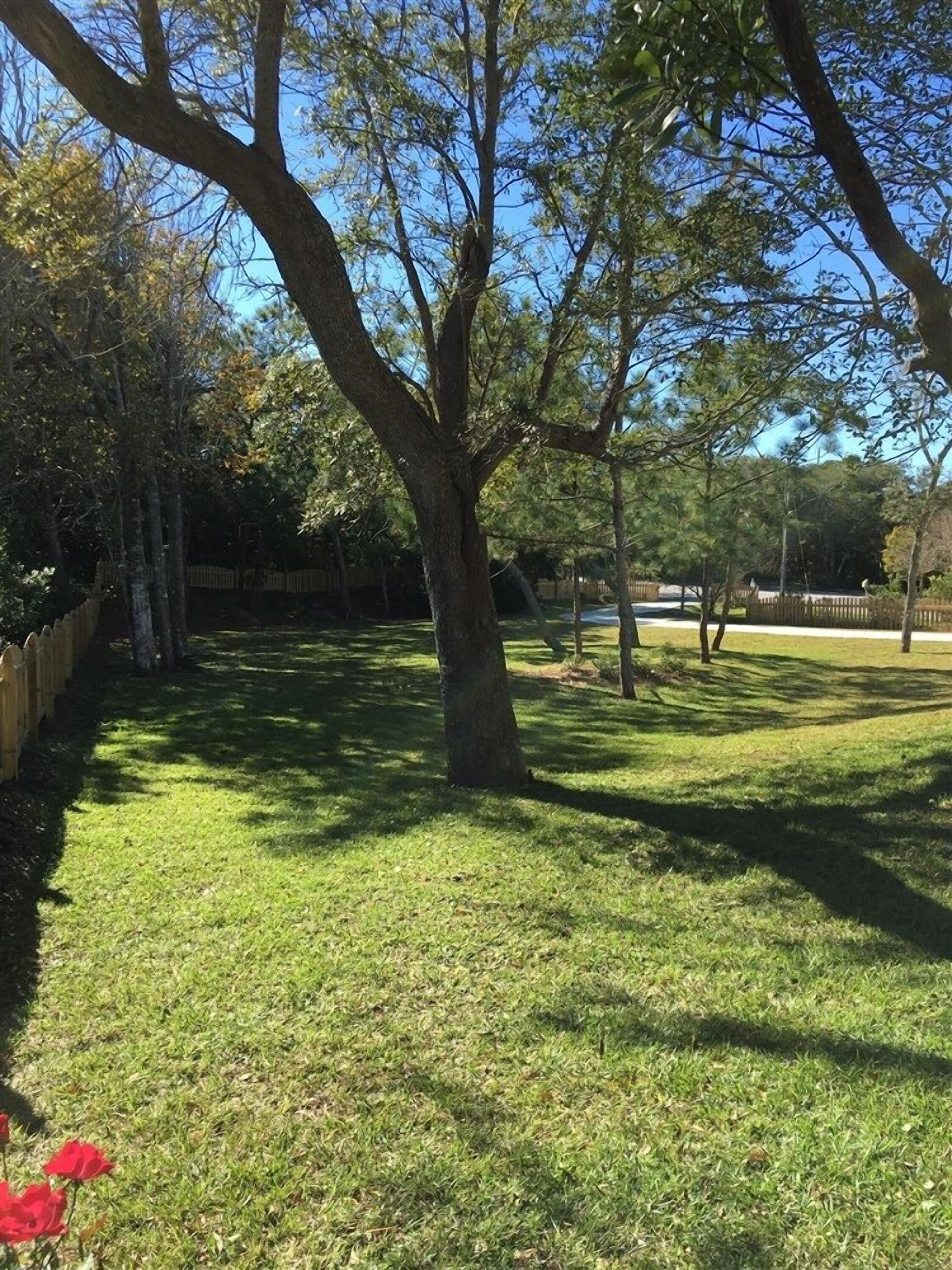 Un área verde bien cuidada, con árboles maduros y una valla de madera.