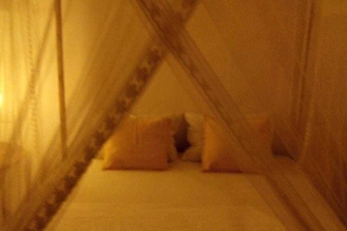 A dimly lit room with a bed at the end, covered by a canopy.