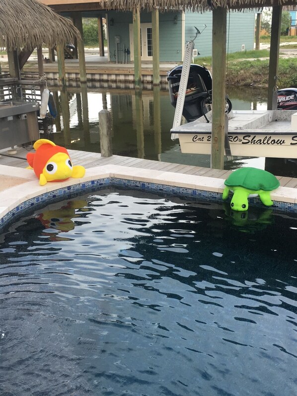 A swimming pool with a thatched roof structure, a Yamaha boat, and a turtle toy.