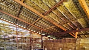A room with multiple bunk beds made of bamboo, wooden frames, and white mattresses. - Hostal HALALIKU (Santa Marta)