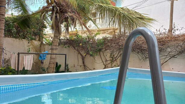 En swimmingpool med kakelbeklädd kant, omgiven av palmer och en betongmur.