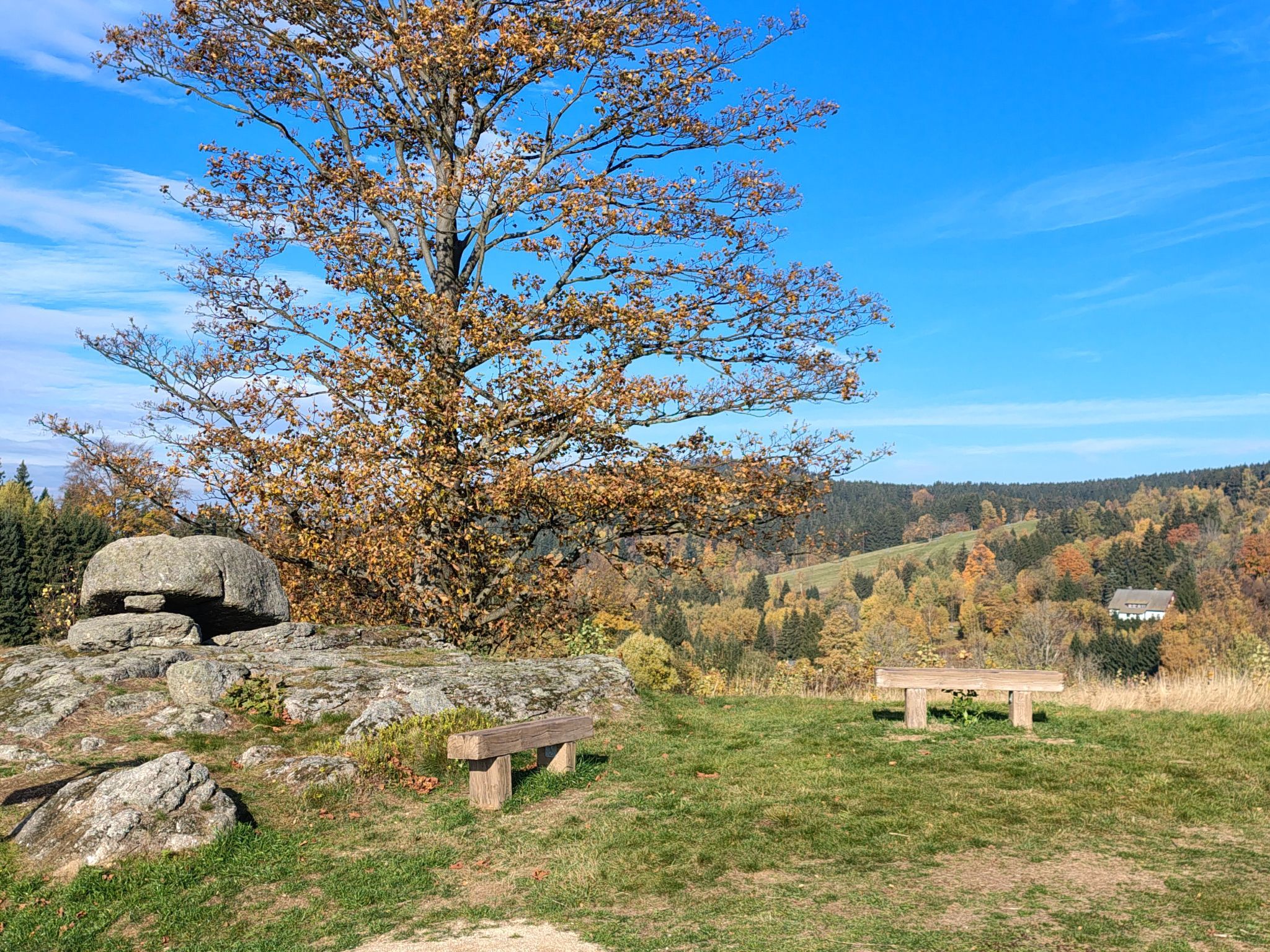 A natural landscape with a large tree, a rock formation, and a bench.
