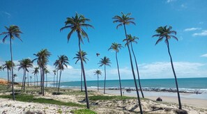 Una playa con altas palmeras y un cielo azul despejado.