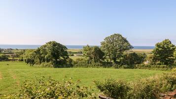 A rural landscape with a clear view of the sea, green fields, and scattered trees.