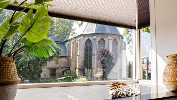 A window with a view of a church and a potted plant.