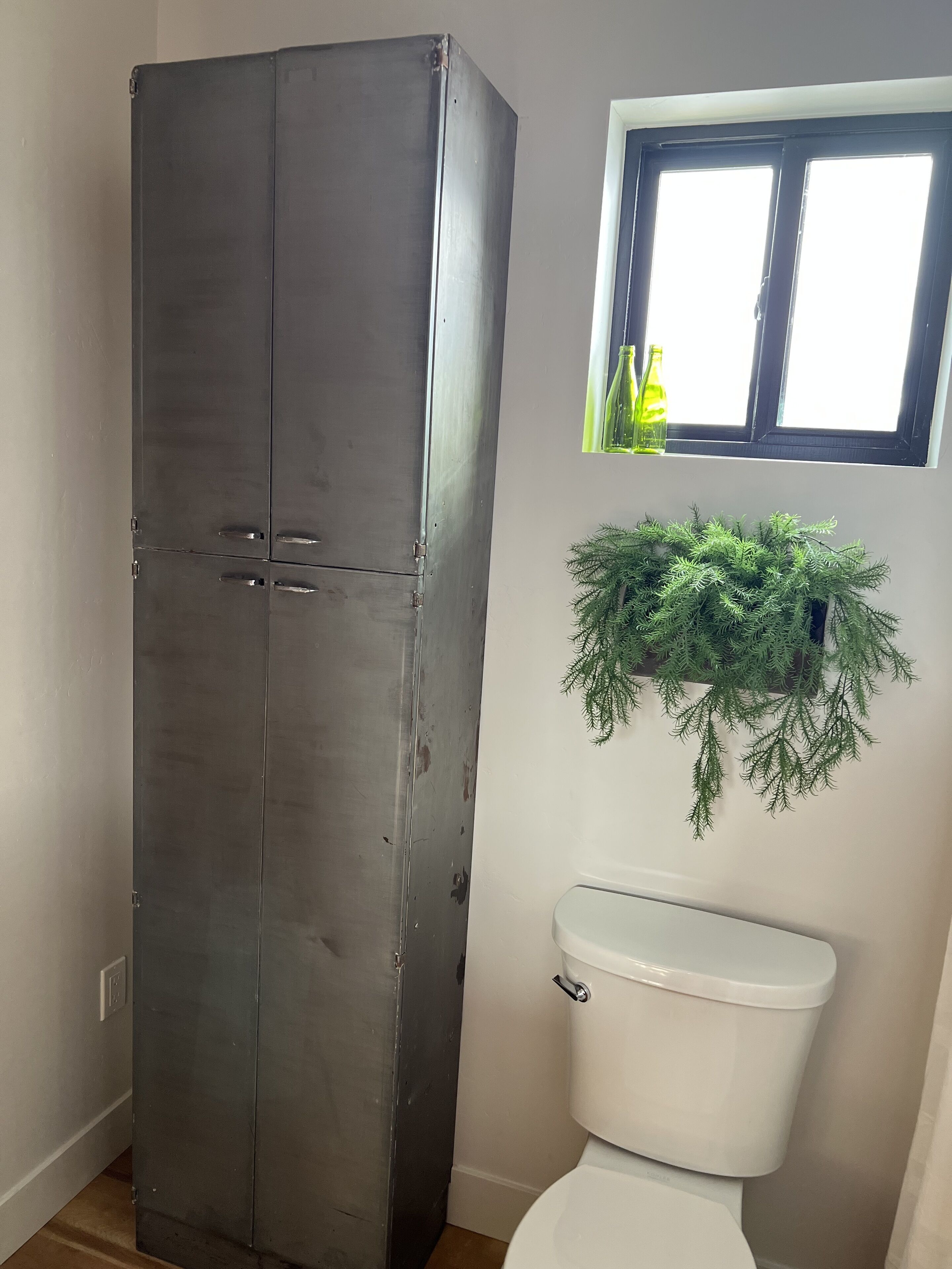 A bathroom with a white toilet, a dark metal wardrobe, and a window with a green plant hanging above it.