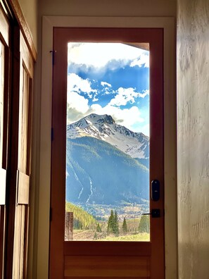 Interior - ELEVATED LIVING MOUNTAIN RETREAT (Silverton)