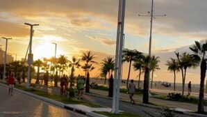 Une promenade dallée, bordée de lampadaires et de palmiers.