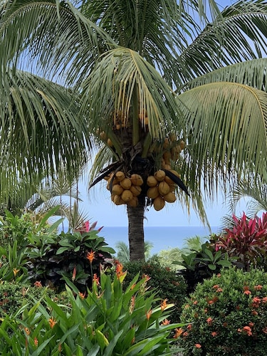 Welcome to our Beautiful Newly Renovated Two-bedroom Beach Access Oasis