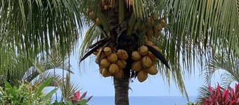 Welcome to our beautiful newly renovated two-bedroom beach access oasis.