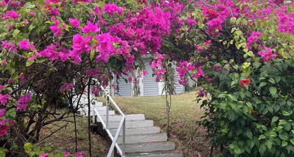Welcome to our Beautiful Newly Renovated Two-bedroom Beach Access Oasis