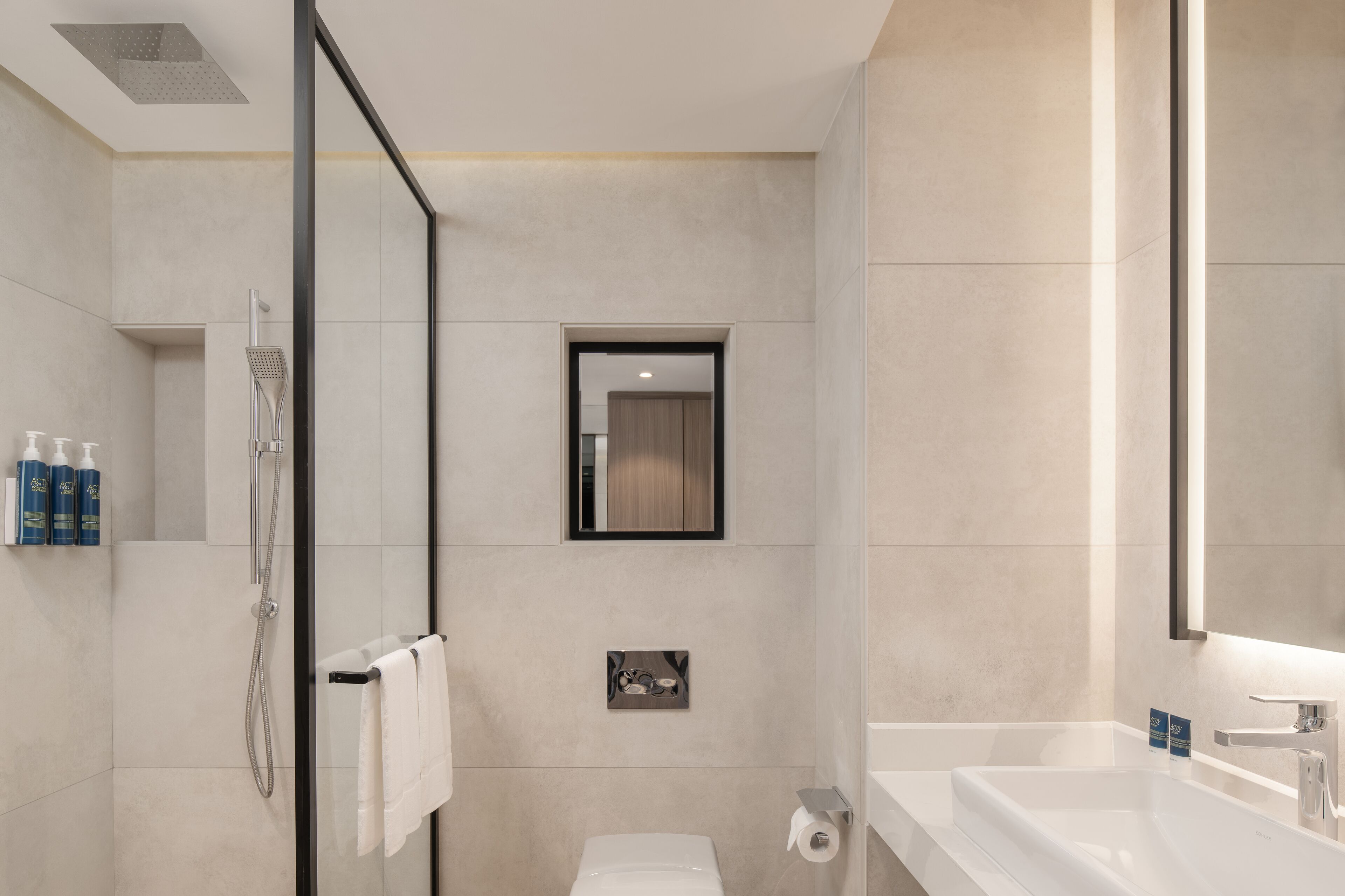 A modern bathroom with a glass shower enclosure, a toilet, a sink, and a mirror.