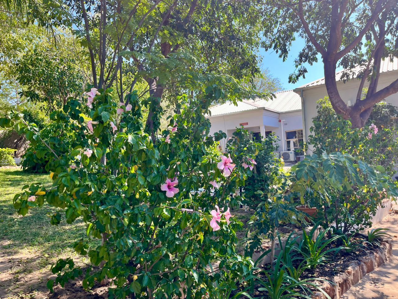 Façade de l’hébergement