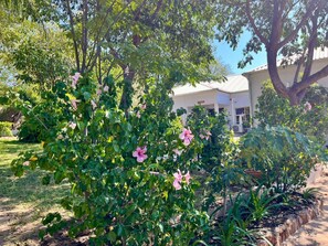 Front of property - Beulah Court Vineyard Guest House (Kasane)