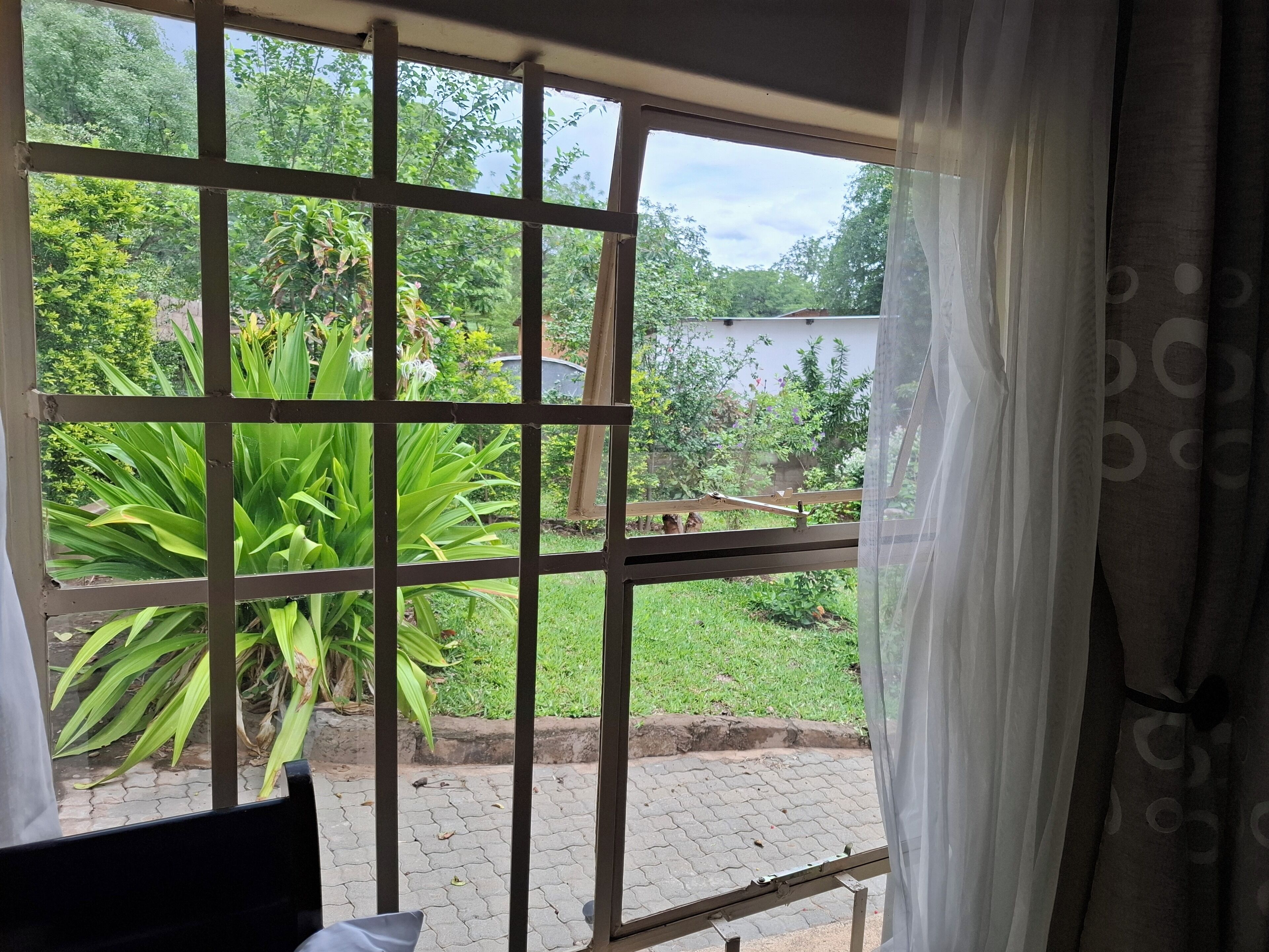 A window with a grid pattern, through which a garden and a paved area are visible.