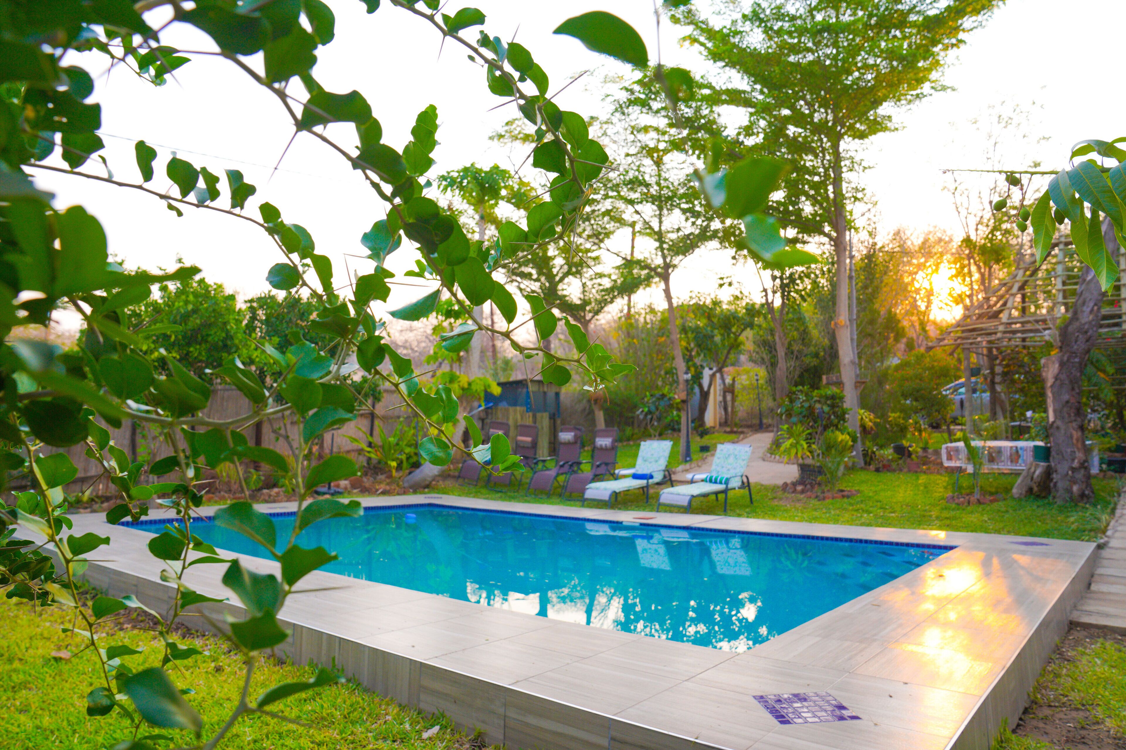 Piscina retangular com deck revestido, rodeada por grama e árvores.
