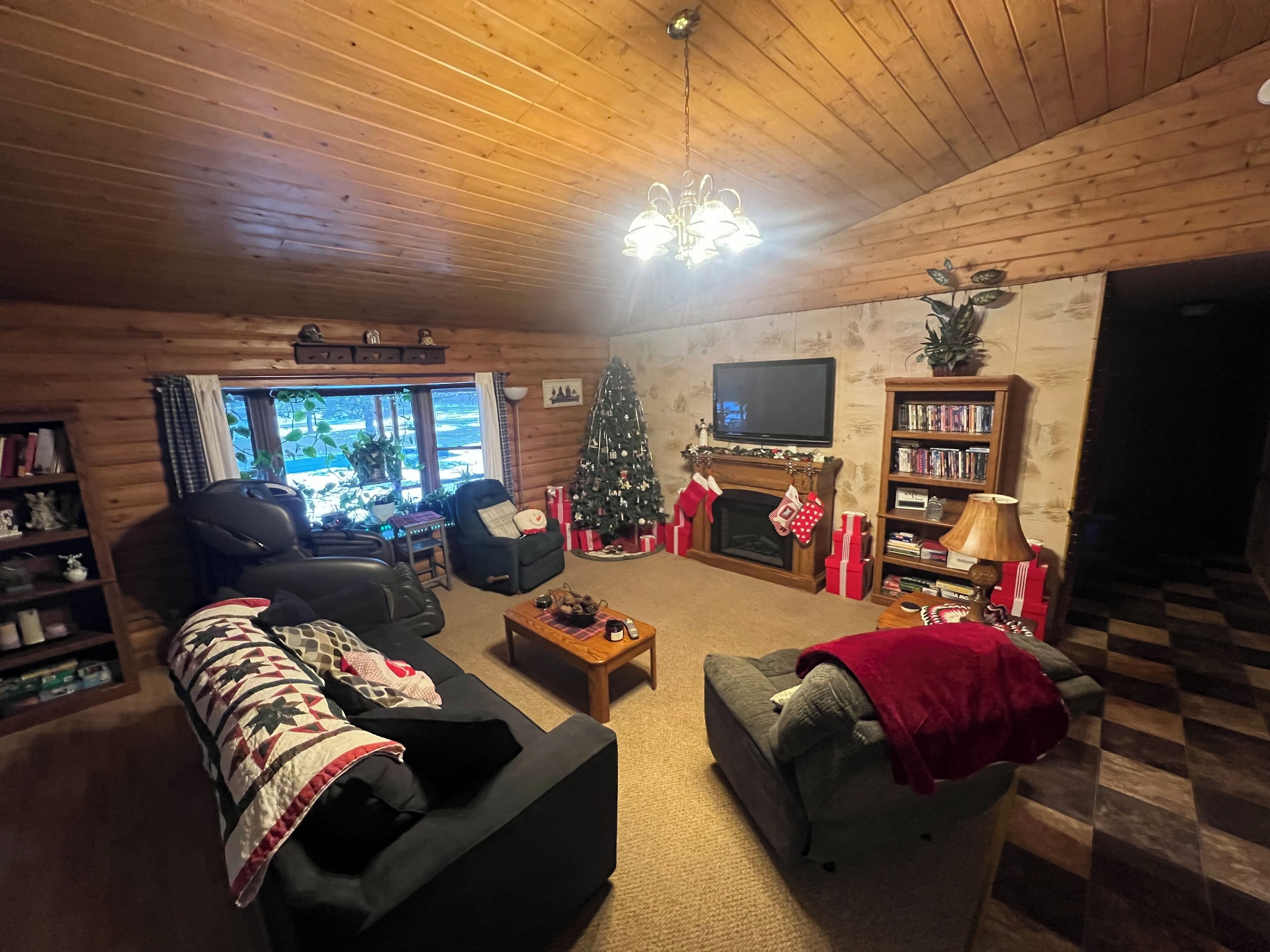 Smart TV, chimenea, reproductor de DVD y libros 