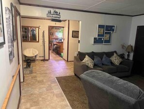 TV connectée, cheminée, lecteur de DVD, livres